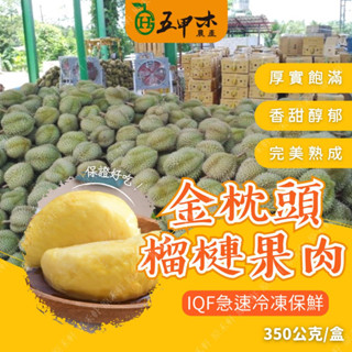 【五甲木】泰國 金枕頭 榴蓮 350公克 榴槤