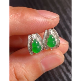 冰種甜陽綠葫蘆耳包❤️a貨翡翠18k鑽石