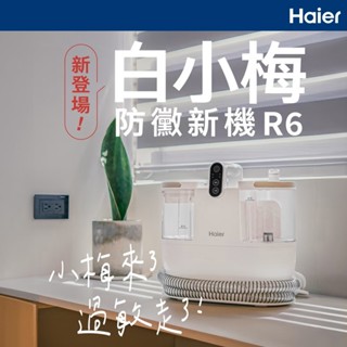 Haier海爾 白小梅防黴織物清潔機 R6
