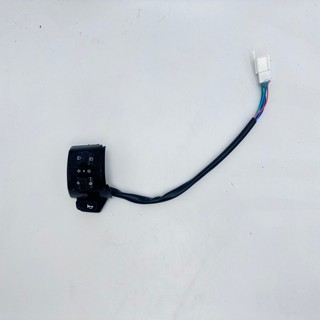 臺灣 開關總成 喇叭 方向燈 大燈 臺灣出貨 大偉士開關 總成 ebike 電動車 電動自行車 vespa switch