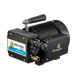 "金正泰五金"(附發票)大井噴霧機 TH400P 1/2HP 洗車機 清洗機 園藝澆花 清洗愛車 管路試壓測漏