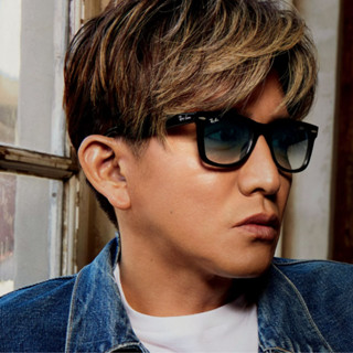 RayBan 雷朋太陽眼鏡 〔原廠正品〕 Wayfare膠框墨鏡 RB2140F-901/3F