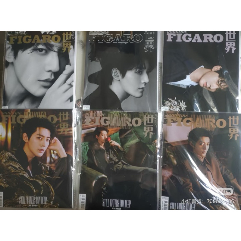 鄧為 費加羅雜誌.小卡套裝  仙台有樹