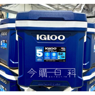 IGLOO MAXCOLD 62QT 美國製58公升滾輪冰桶 #1819522