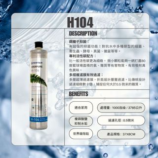 美國原廠EVERPURE 家用 商用 生飲濾心 H104 H-104 H 104
