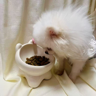 🔥【臺灣熱銷】😺 貓碗 寵物陶瓷碗 貓咪水碗 飼料碗 狗碗 貓碗架 高腳貓糧碗 護頸碗 斜口碗 陶瓷碗 寵物碗 貓碗