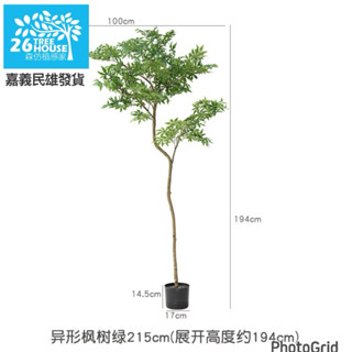 😇宅配免運費😇逼真美觀仿真植物 室內外裝飾樹🌴模擬楓樹 假樹 景觀設計 楓葉🍁楓樹 擺件人造楓樹 仿真植物 擬真盆栽