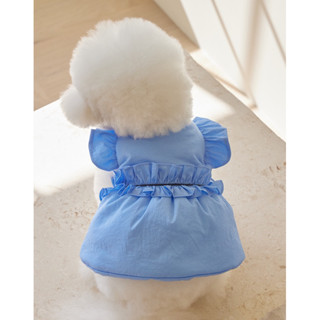 🐶BOBO_PET🐶韓國高奢品牌❗️現貨特價❗️防潑水輕盈保暖羽絨外套 寵物衣服 狗狗衣服 狗狗外套 羽絨衣 防水輕盈