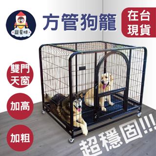 【寵星球】⭐現貨⭐豪華天窗加固雙門寵物籠 狗籠 狗柵欄 寵物籠 大型狗籠 籠子 狗籠 大狗籠 小狗籠