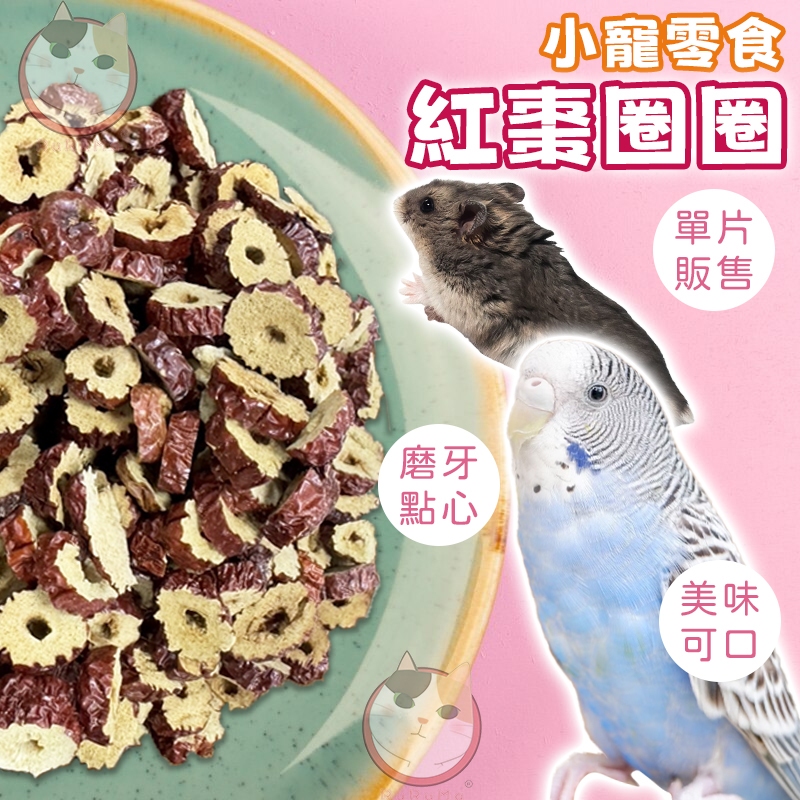 單片 小動物零食 紅棗圈圈 小寵點心 磨牙餅乾 零食餅乾 鼠兔點心 鼠兔零食 倉鼠點心 兔子點心 紅棗片 泡茶 磨牙零食