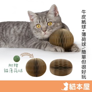貓本屋 魔術風琴 牛皮紙玩具貓抓球(附貓薄荷球)【現貨】貓咪玩具 高密度 牛皮紙 耐抓 耐磨 可玩 可抓 可踢
