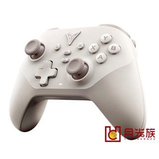 臺灣現貨 信星科技 飛智 DuneFox 沙漠狐 雙霍爾 遊戲手把 支援Switch 無線手把 任天堂 瑪利歐 分手廚房