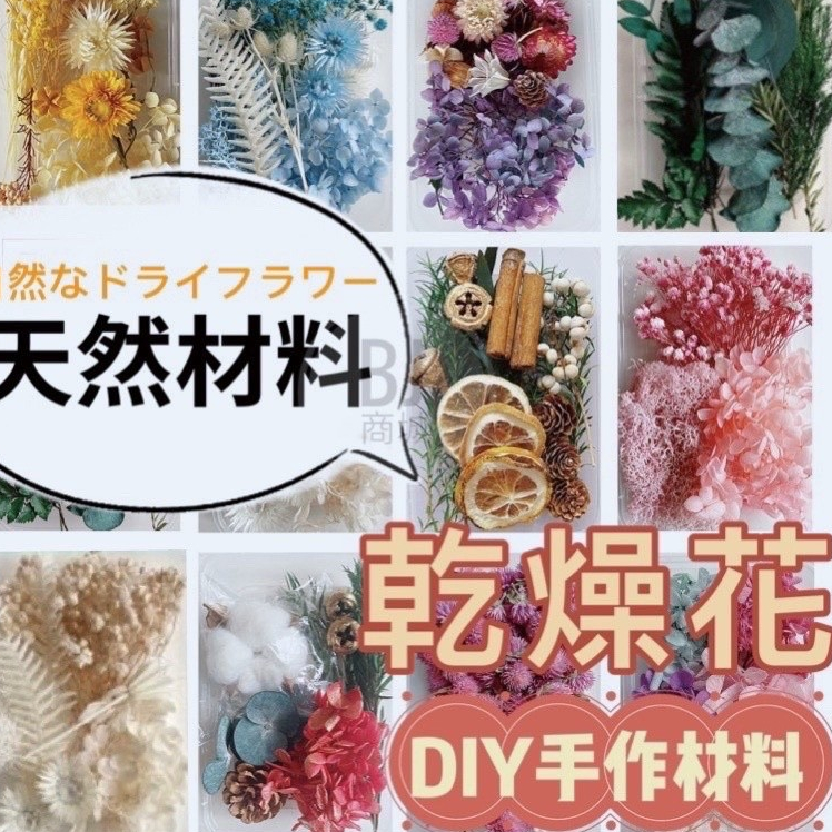 DIY 【天然乾燥花】植物果實 繽紛 拍照道具 花材 花藝材料包 浮游花 永生花 浮油花 乾花