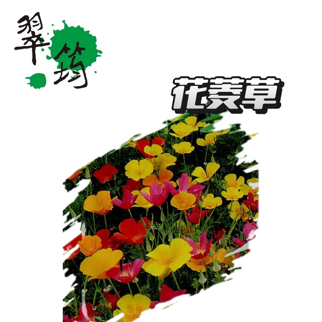 花菱草種子【花卉種子】翠筠 彩色原包裝種子 每包約100粒 無藥劑處理
