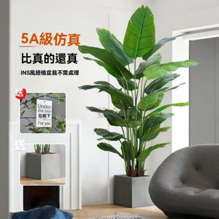 免運 破損補發 森泰天堂鳥模擬綠植 輕奢仿生花 客廳大型室內盆栽 擺件裝飾樹 假植物天堂鳥 模擬綠植 綠植