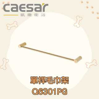 凱撒 CAESAR Q6301PG 單桿毛巾架 毛巾架 浴室 毛巾