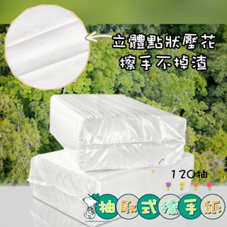 擦手紙 抽取式擦手紙🌵臺灣現貨24H出貨🌵120抽擦手紙 擦手紙巾 廚房擦手紙 吸油紙巾 廚房紙巾 餐巾紙 衛生紙 紙巾