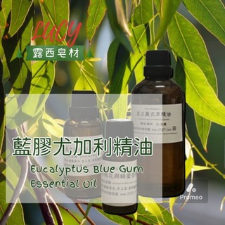 【露西皂材】藍膠尤加利精油 Eucalyptus Blue Gum Essential Oil