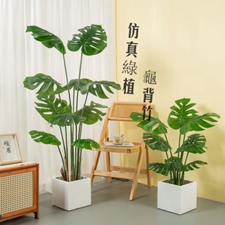 臺灣出貨 北歐風 模擬綠植 龜背竹 龜背芋 人造仿真植物 客廳植物盆栽 綠色室內假植物盆栽 高階輕奢室內裝飾 景觀擺件