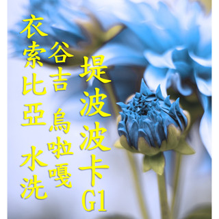 (2024) 獵豆工坊🐆衣索比亞 谷吉 烏拉嘎 提波波卡 水洗G1 咖啡生豆 500g