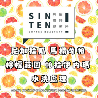 尼加拉瓜 馬榻戈帕 檸檬莊園 帕拉伊內瑪 水洗 *柑橘、葡萄柚主調【每包500公克】【興田咖啡生豆】 精品咖啡生豆