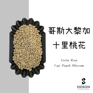 （極推👍）哥斯大黎加 十里桃花/富士桃花 塔拉珠 雙重厭氧/熱衝擊水洗 咖啡生豆500g｜豆桑生豆