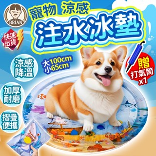 涼感注水冰墊【24H快速出貨🚚】寵物睡墊 寵物涼墊 注水水墊 寵物冰墊 狗狗睡窩 貓咪睡窩 涼感窩 寵物水墊 寵物玩具