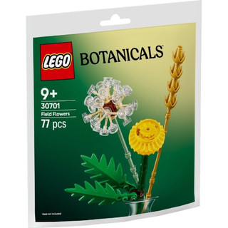 樂高 LEGO 30701 Field Flowers Paperbag 全新未拆