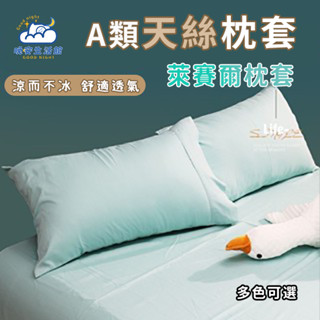 【透氣抑菌】A類天絲枕套 萊賽爾枕套 冰絲涼感枕芯套 素色枕套 夏季枕套 枕頭套 抑菌長款枕套 拉鏈款枕套 枕頭保潔墊