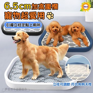 【臺灣現貨🔥送引導柱】寵物廁所 寵物尿盆 狗廁所 狗尿盆 狗用品 尿盆 便盆 狗狗尿盆 寵物便盆 狗便盆 狗尿墊 狗尿布