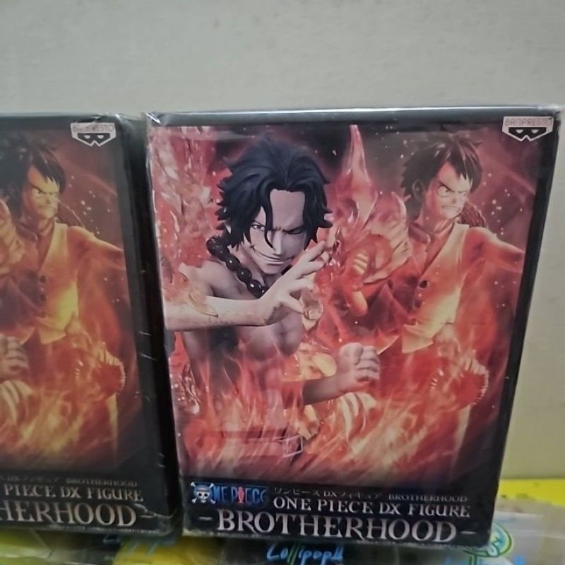 【海賊王 BROTHERHOOD系列】波特卡斯·D·艾斯 ポートガス・D・エース 火拳 艾斯 金證
