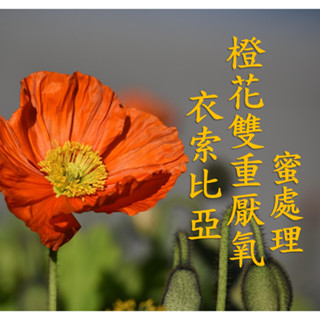 (2025) 獵豆工坊🐆 衣索比亞 希達瑪 橙花雙重厭氧蜜處理 G1咖啡生豆 500g