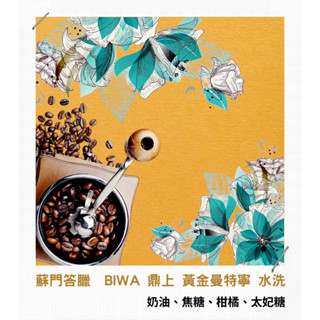 【古哥咖啡烘焙坊】精品咖啡豆｜蘇門答臘 BIWA鼎上黃金曼特寧 水洗