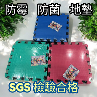 「胖胖百貨」巧拼地墊【防黴防菌 無毒無異味保證 SGS檢驗合格】臺灣製造 拼接地墊 爬行墊 防撞地墊 無毒巧拼 多色巧拼