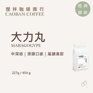【攪拌咖啡】尼加拉瓜 大力丸｜極大顆精品豆｜中深焙 水洗處理｜咖啡豆 227g/454g