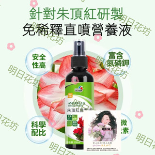 明日花坊 朱頂紅專用 綠植 植物 園藝花卉 100ml