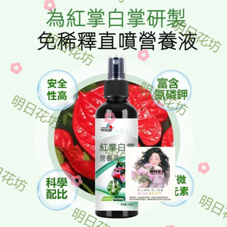 明日花坊 紅掌白掌專用 植物 盆栽 家用 園藝花卉 100ml