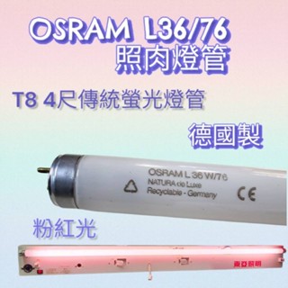 歐司朗 T8 36W/76照肉燈管 日立T8 40W 增艷鮮肉色澤 T8 4尺傳統螢光燈管