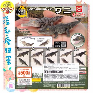 ♧溢起瘋扭蛋♧ BANDAI 轉蛋 扭蛋 生物大圖鑑 鱷魚 生物 圖鑑 模型 可動 動物 公仔 高雄 鹽埕