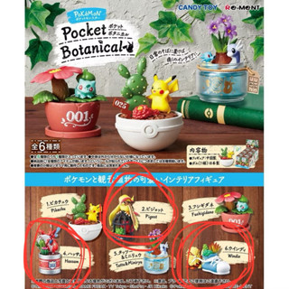 【寶可夢】Re-ment 盒玩 盆栽 大比鳥 比雕 風速狗 巨鉗螳螂 植物 神奇寶貝 口袋植物學 盲盒 公仔