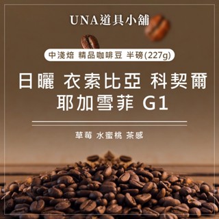 【烘焙前後人工挑除瑕疵豆】日曬 衣索比亞 科契爾 耶加雪菲 G1 咖啡豆 半磅 227g