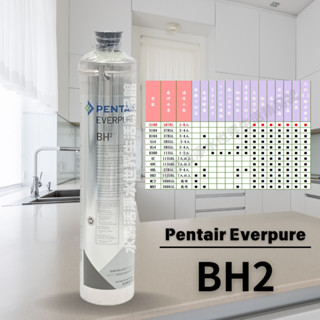【水森活淨水世界-淨水】Pentair Everpure BH2銀離子抑菌抑垢家用濾心，美國原裝進口，平行輸入價1700