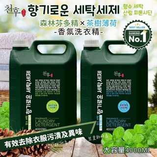 森林芬多精×茶樹薄荷 香氛洗衣精4000ml