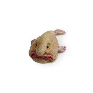 COLLECTA動物模型 - 水滴魚