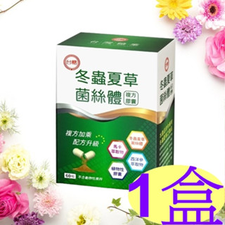 現貨📦臺糖冬蟲夏草菌絲體複方膠囊(60粒/盒)🔥效期2026年5月💯公司貨💯蟲草菌絲體💝