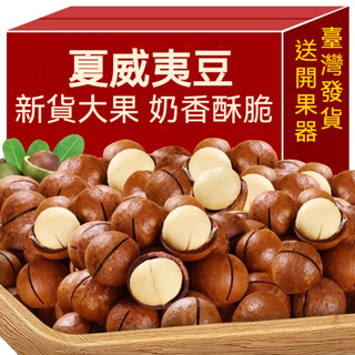 【熱門堅果】帶殼大顆粒夏威夷豆 袋裝500g 夏威夷豆新鮮大顆 奶香味即食夏威夷果 精選顆粒 堅果批發堅果零食休閒零嘴