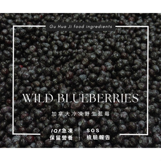 加拿大 冷凍 野生藍莓 1kg 天時莓果 藍莓 IQF冷凍技術 wild blueberry 無糖 穀華記食品原料