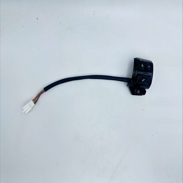 開關總成 喇叭 方向燈 大燈 台灣出貨 大偉士開關 總成 ebike 電動車 電動自行車 vespa switch 全新