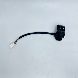 開關總成 喇叭 方向燈 大燈 臺灣出貨 大偉士開關 總成 ebike 電動車 電動自行車 vespa switch 全新