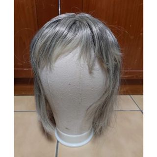 COSPLAY假髮~銀白色~銀灰色~短髮~妹妹頭~半長髮~霍爾的移動城堡~蘇菲~銀色短髮~COS假髮~二手